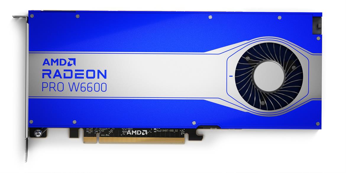 AMD Radeon Pro W6600 Review: RDNA 2 Pro-Vis GPU For Less