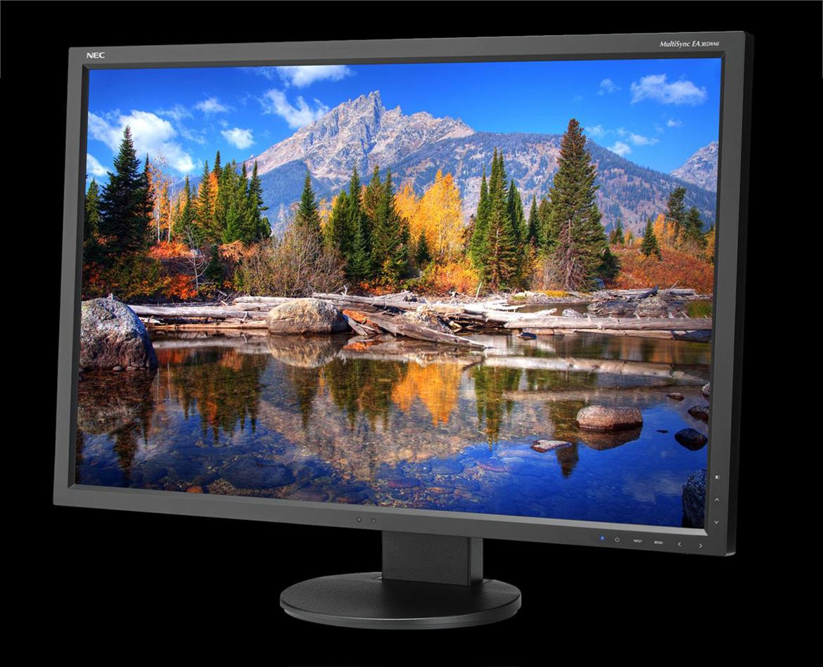 NEC MultiSync EA305WMi Professional Monitor With ControlSync Review