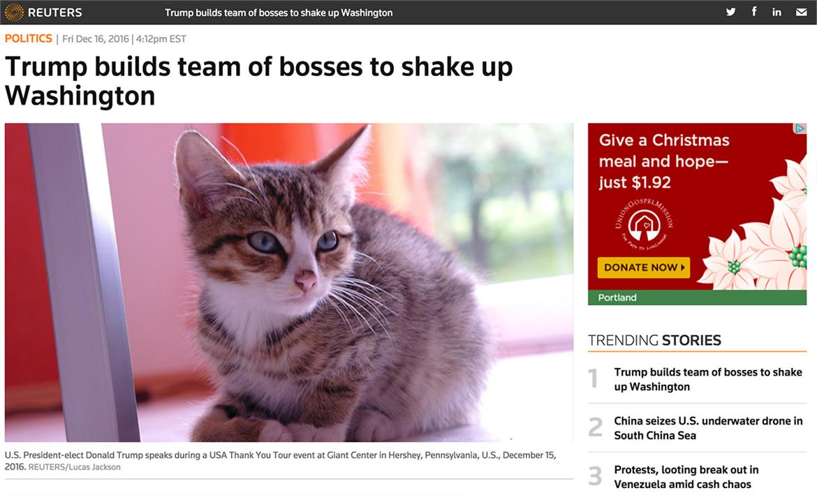 Make America Kitten Again! Chrome Extension Replaces Pictures of Trump With Cuddly Kitties