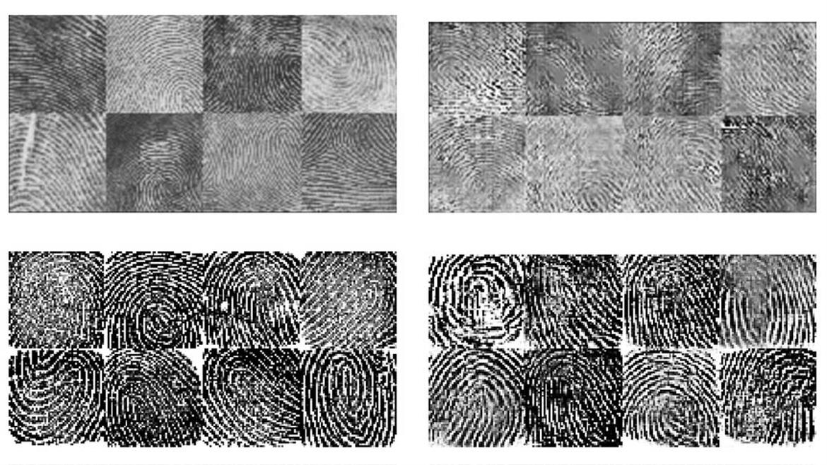 Researchers Hack Smartphone Fingerprint Security With AI-Driven Master Print Forgery