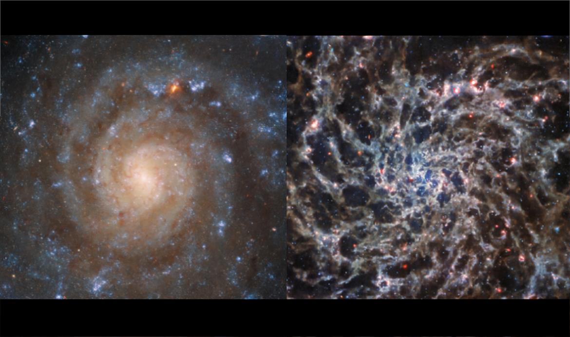 NASA's James Webb Telescope Reveals The Skeletal 'Bones' Of A Spiral Galaxy