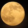 A Spectacular 2022 Harvest Moon Lights Up The Night Sky Around The World